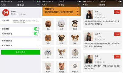 摸摸哒宠物O2O服务 从上门给汪星人洗澡开始，开启宠物美容新时代