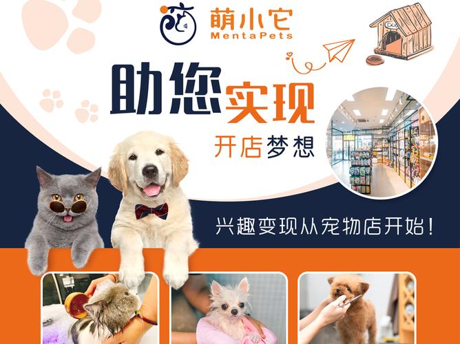 宠物美容服务 多样化项目一站式满足爱宠需求
