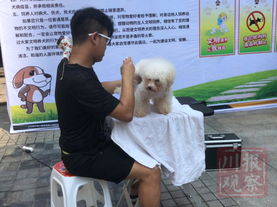成都一物业公司免费为业主宠物注射疫苗